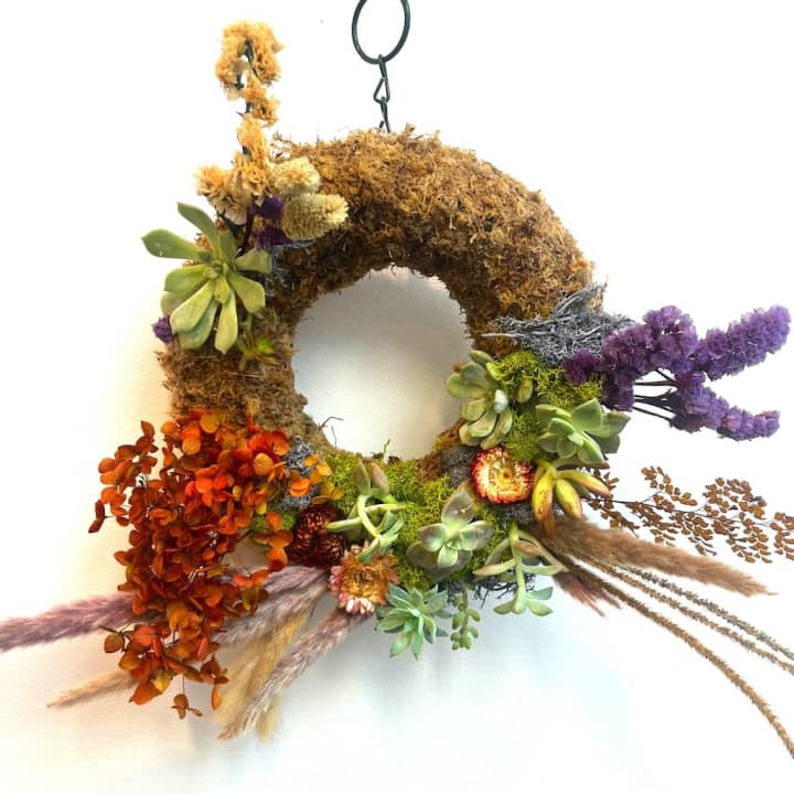 Living Succulent Wreath Making Workshop