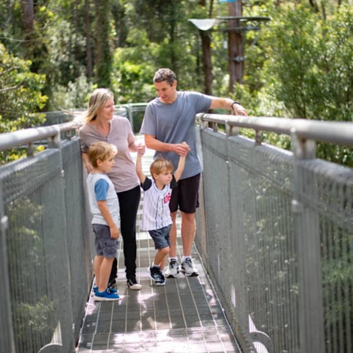 Illawarra Fly Treetop Walk