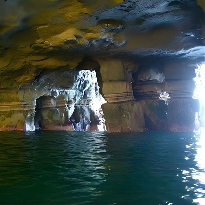 La Jolla Cove and Cave Snorkel Tour