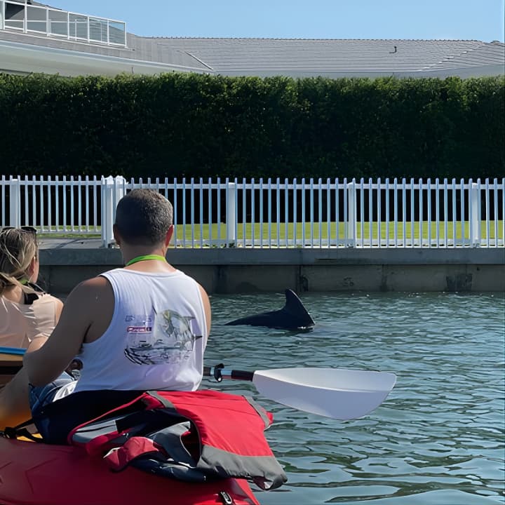 Kayak Eco Tour in Don Pedro Island