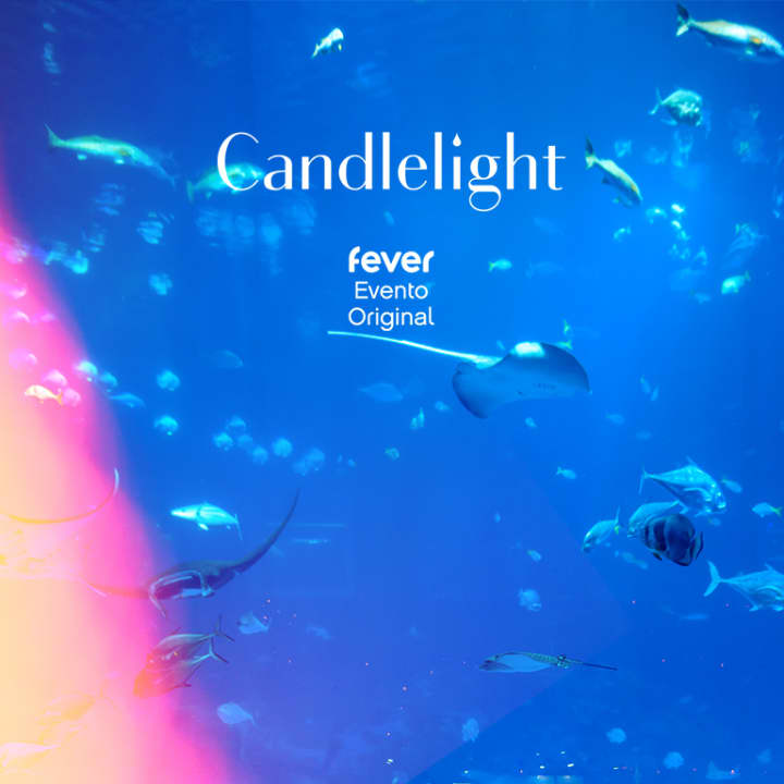 ﻿Candlelight: Tribute to Coldplay at the Seville Aquarium