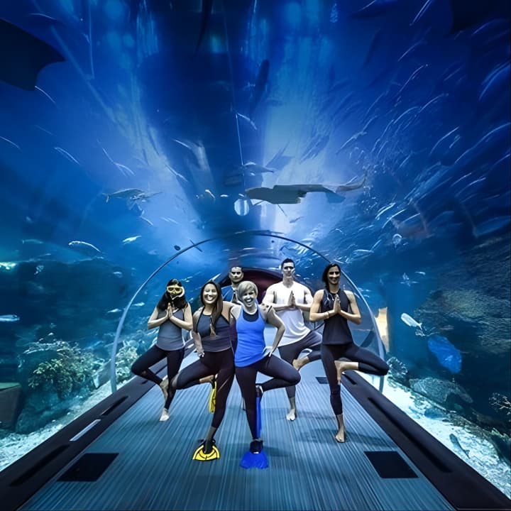 Dubai Aquarium with Glass bottom boat tour