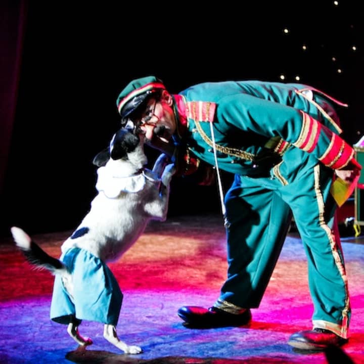 ﻿Teatro V de Las Vegas: Teatro cómico de mascotas Popovich