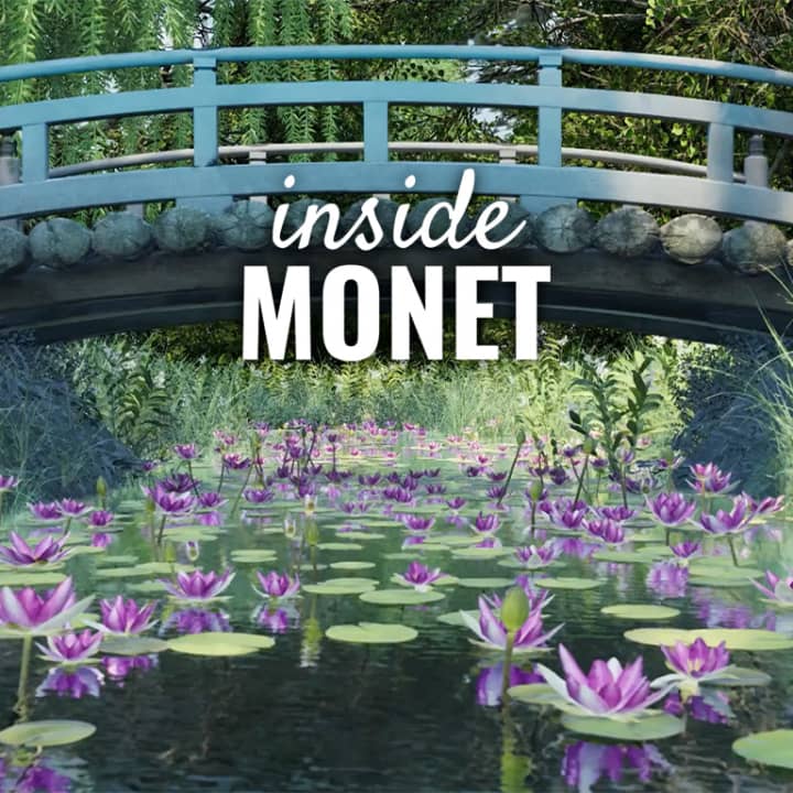 ﻿Inside Monet VR Experience