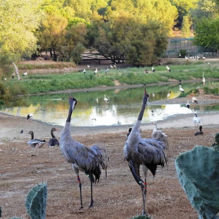 ﻿Cañada de los Pájaros