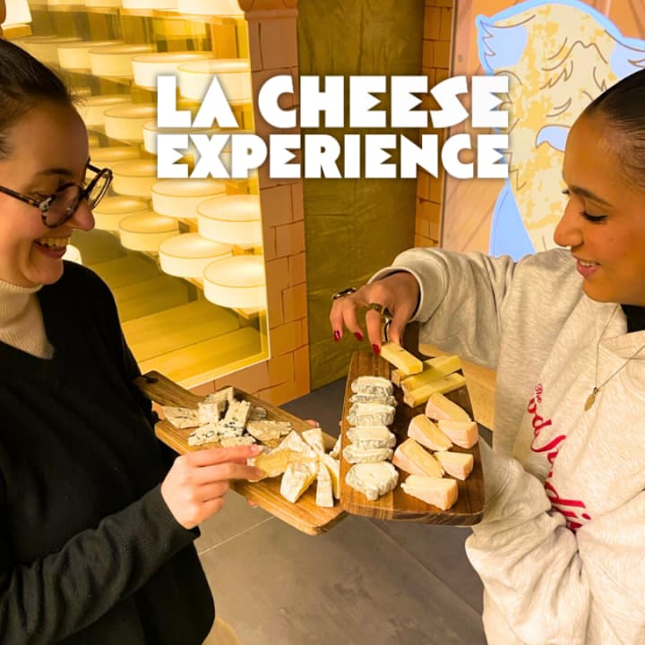 The Cheese Experience: An Immersive Tasting Journey Where Cheeses Come to Life!