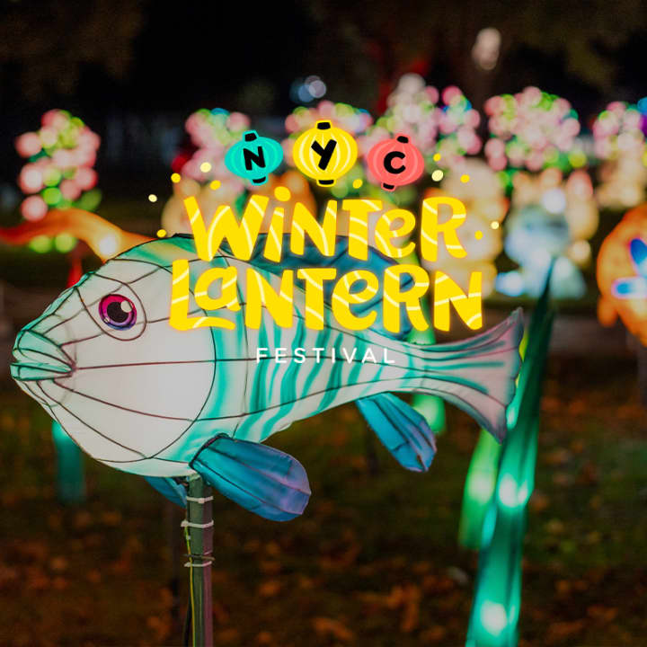Suffolk Winter Lantern Festival