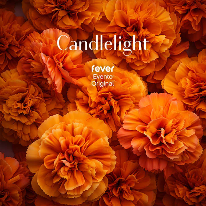 🎻 Conciertos Candlelight de música clásica Guadalajara Boletos Fever