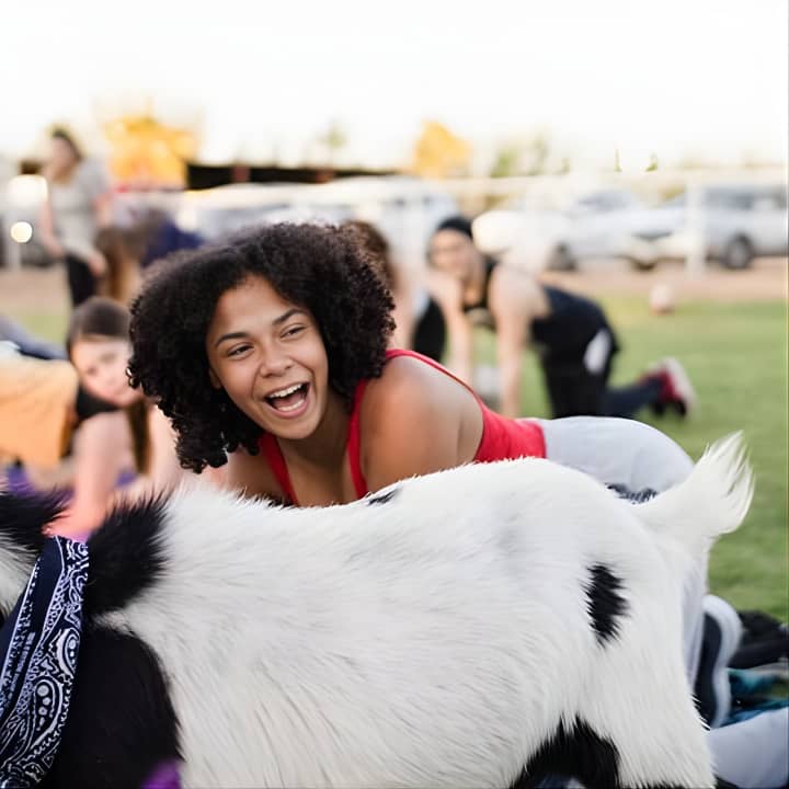  Goat and Alpaca Yoga Gilbert Arizona