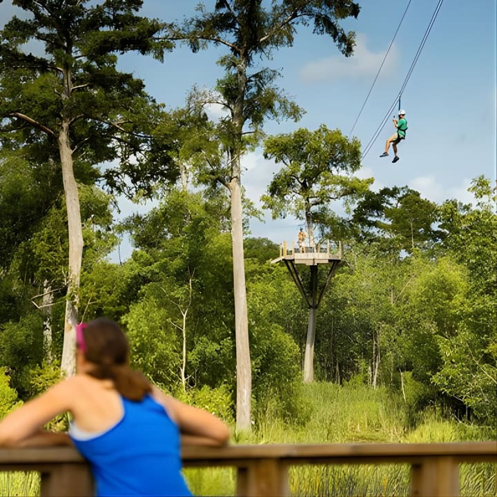 New Orleans Zipline Swamp Tour