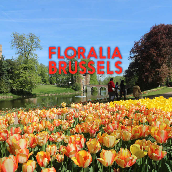 Floralia Brussels, La 21ème édition de l’exposition florale de printemps - Pass Floralia