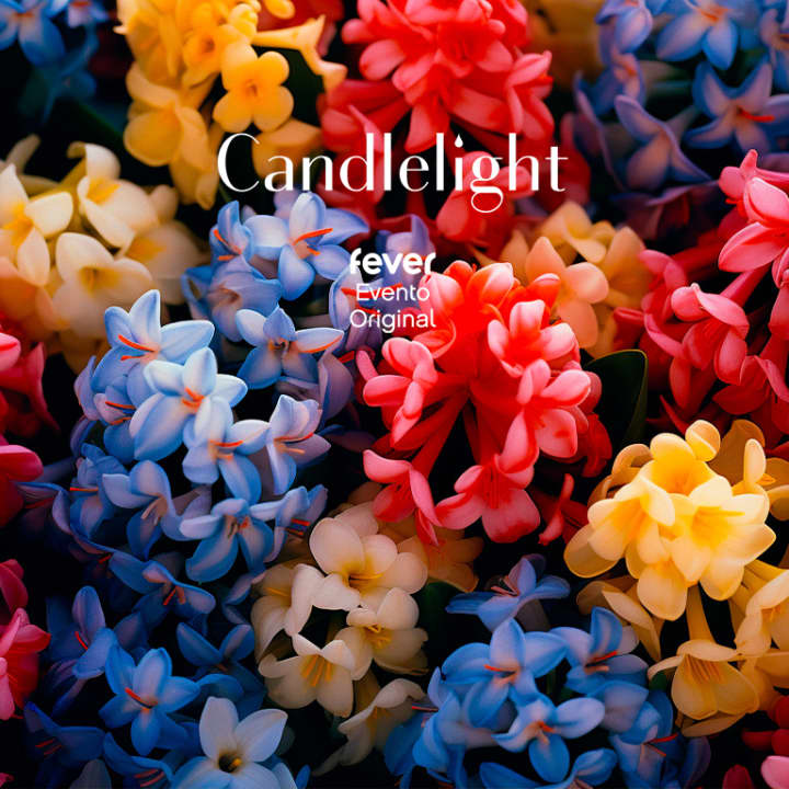 🎻 Conciertos Candlelight de música clásica Querétaro Boletos Fever