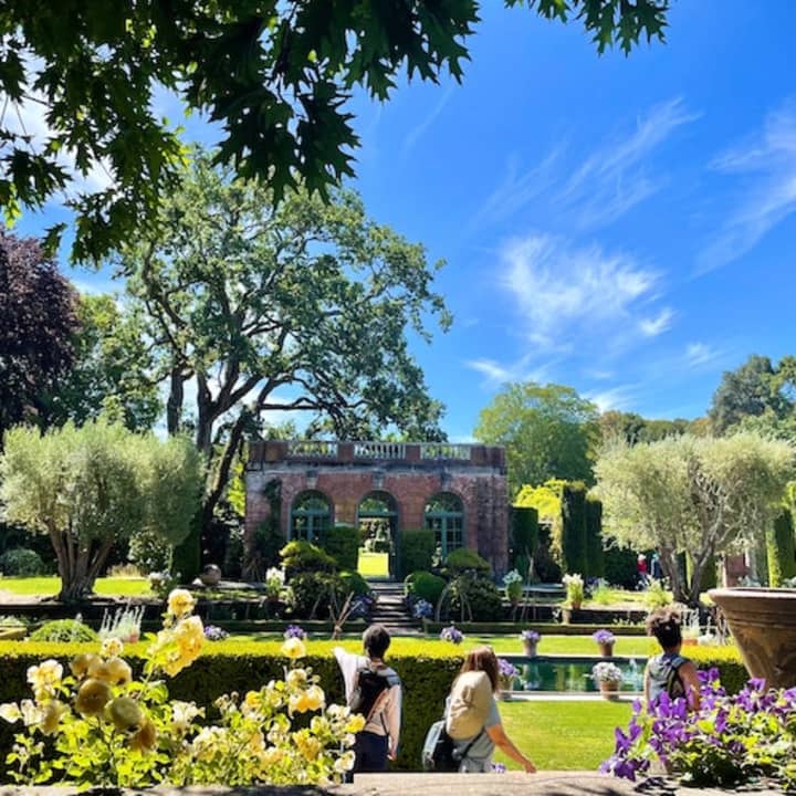 ﻿Filoli: ¡casa histórica y jardines con vistas impresionantes!