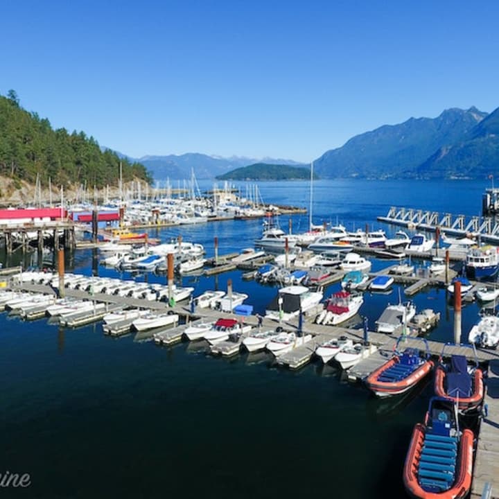 Howe Sound Eco Sea Safari Boat Tour