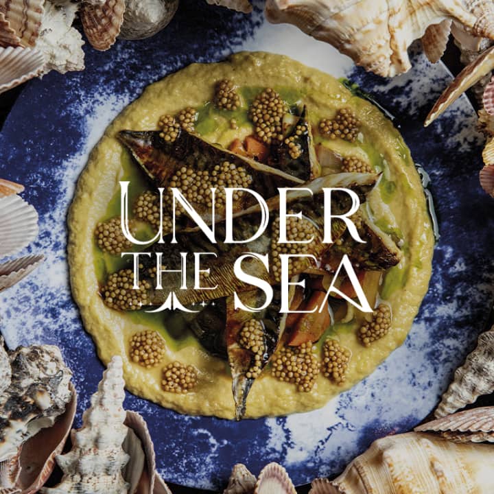 Under the Sea, an Immersive Culinary Experience