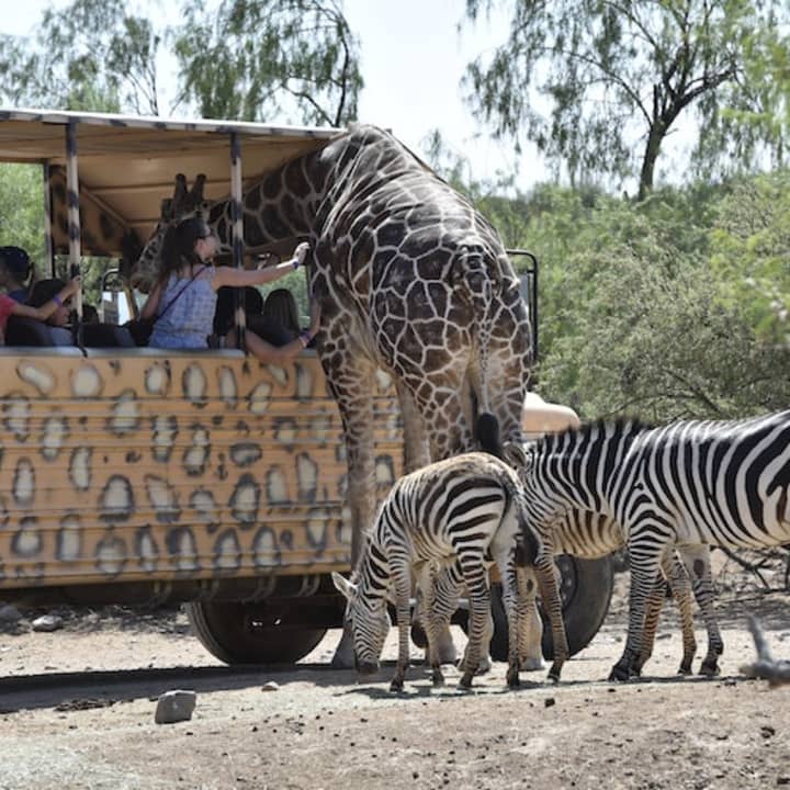 Out of Africa Wildlife Park