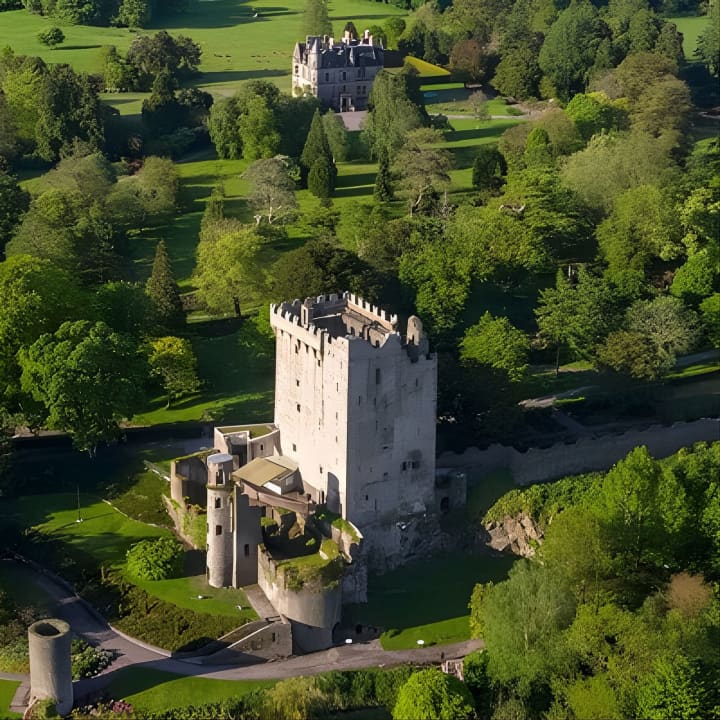 Easy Access Blarney Stone and Castle Gardens Tour