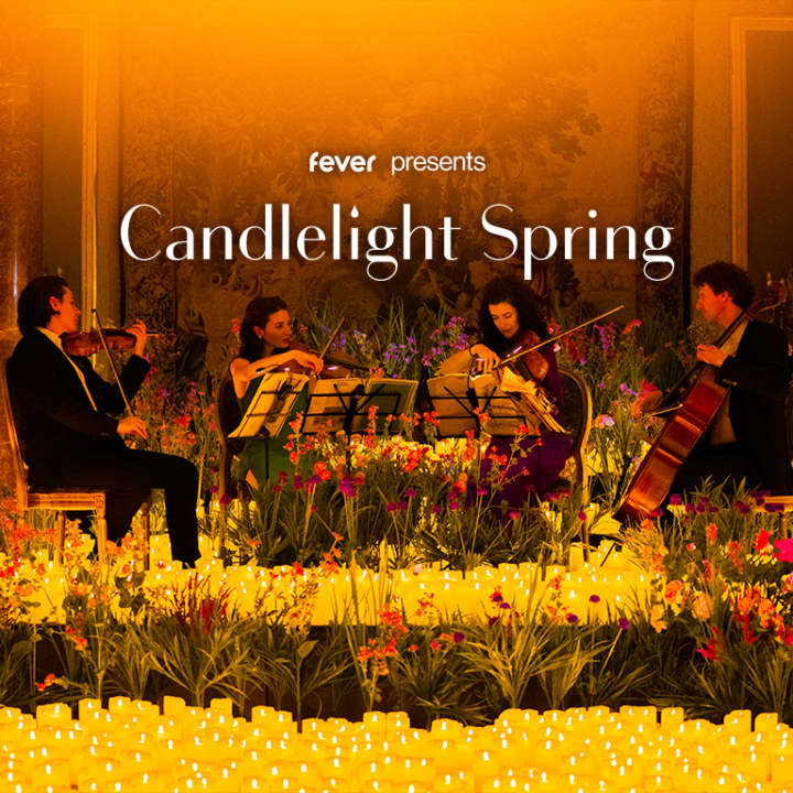 Candlelight Spring: Coldplay vs Ed Sheeran in der Musikhalle