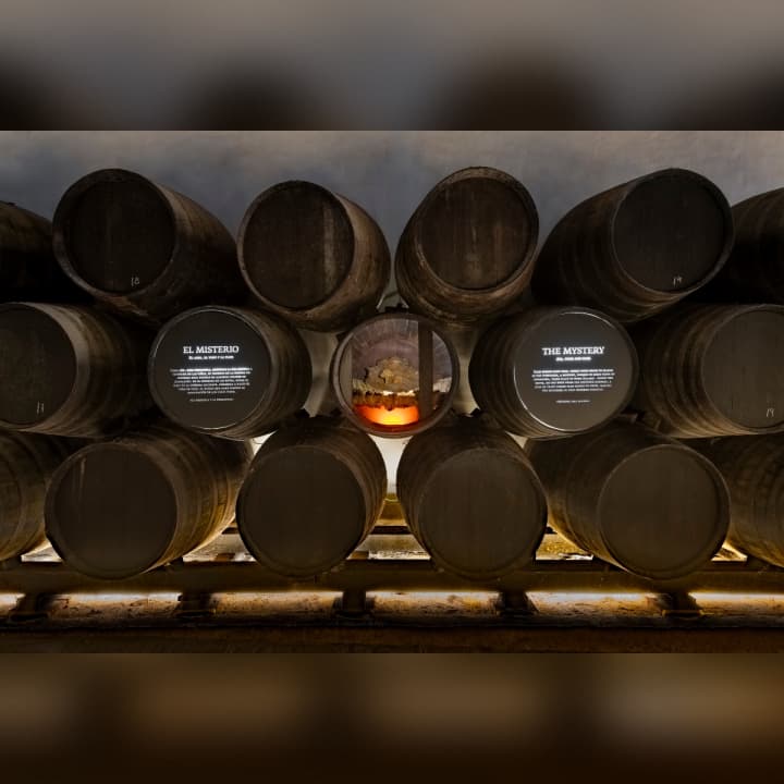 Classic Tour in English