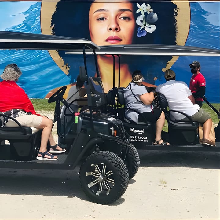 ﻿Visita en carrito de golf a una cervecería de Wynwood en grupo reducido con un guía local