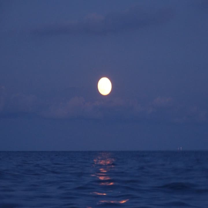 Bajo la Luna Llena: Navegando por Barcelona