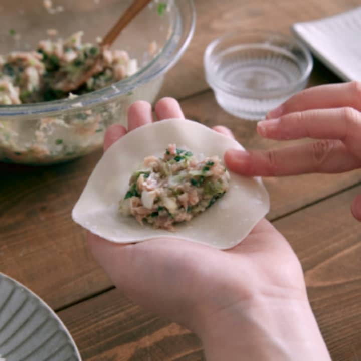 Handmade Dumplings - Sacramento