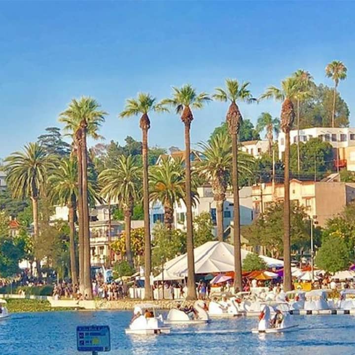 ﻿Alquiler de barcos Swan en Echo Park