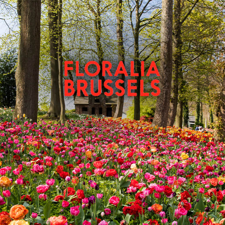 Floralia Brussels, La 21ème édition de l’exposition florale de printemps - Pass Floralia