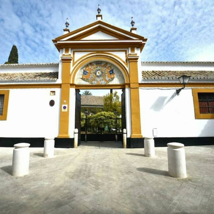 ﻿Palace of Las Dueñas + House of Salinas + Hospital de la Caridad