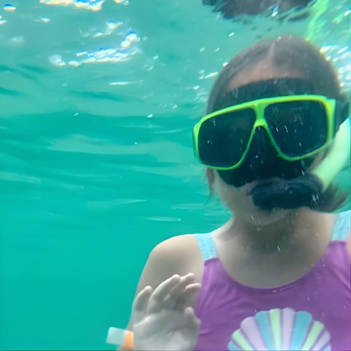 Family Friendly Snorkeling and Dolphin Tour