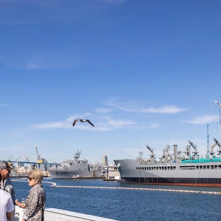 San Diego Harbor: 2-Hour Cruise with Live Guide