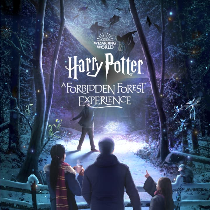 This Epic ‘Harry Potter A Forbidden Forest Experience’ Will Near Dallas