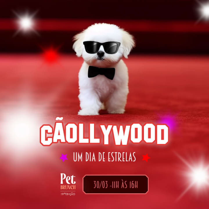 Pet Brunch 19ª Edição - Filmes clássicos: Cãollywood: Um Dia de Estrelas