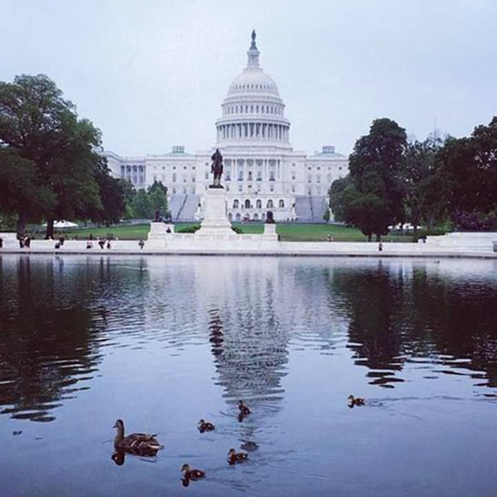Castle to Capitol: Museums of the National Mall Walking Tour