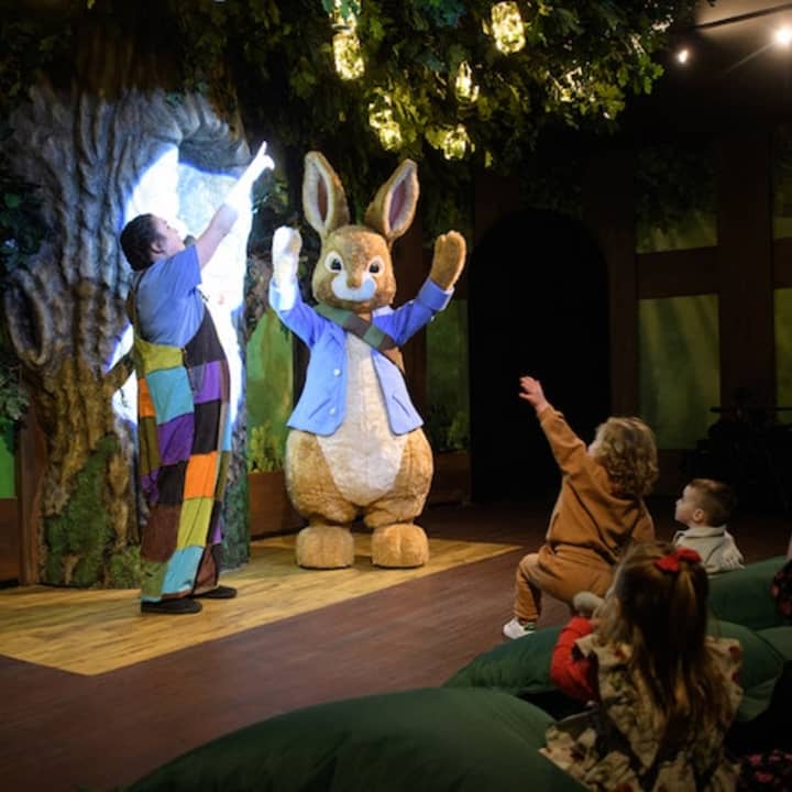 Peter Rabbit Explore & Play