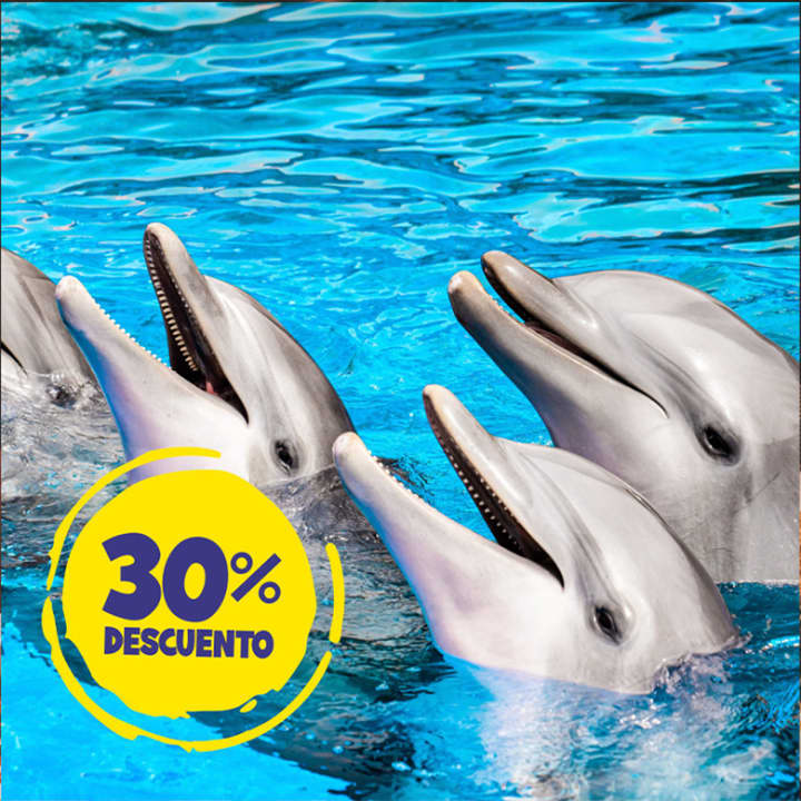 SOLDES FLASH - 30 % de rabais sur les Flexitickets