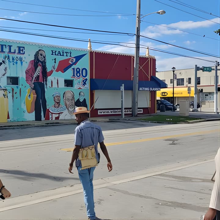 La Perle De Miami: Little Haiti Tour