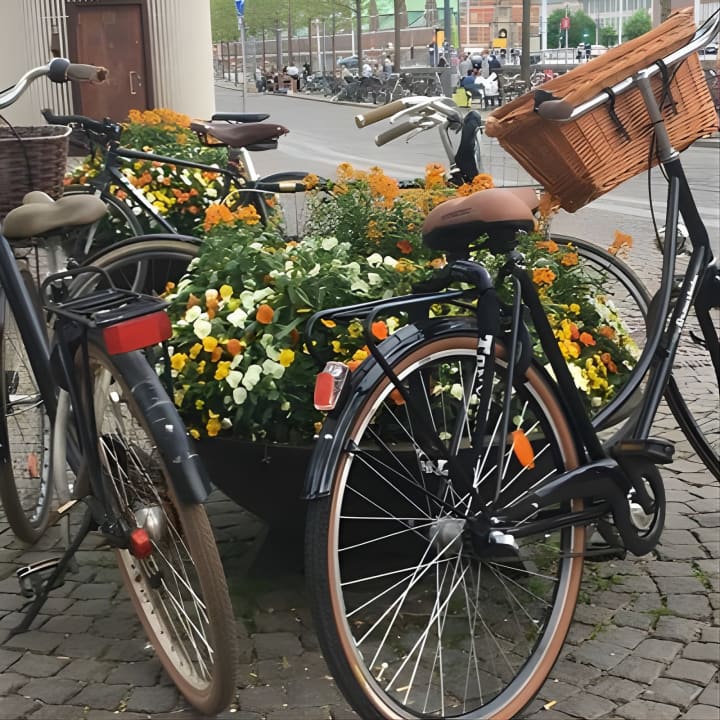 Copenhagen Bicycle Adventure 