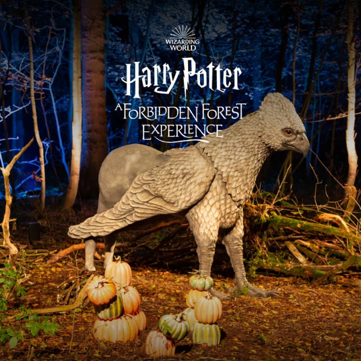 Harry Potter : A Forbidden Forest Experience