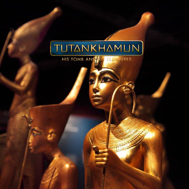 Tutankamón: Su tumba y sus tesoros - Lista de espera