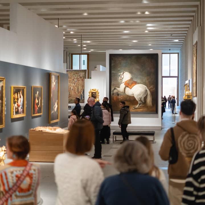 Galería de las Colecciones Reales