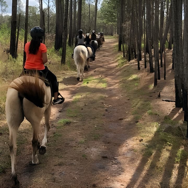 ﻿Paseo a caballo por senderos panorámicos del lago Louisa