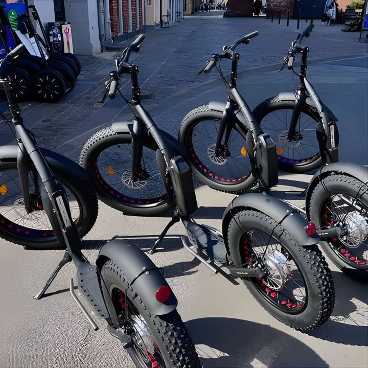 2 Hour Copenhagen Tour on Electric Scooter "Stand Up Bike" 
