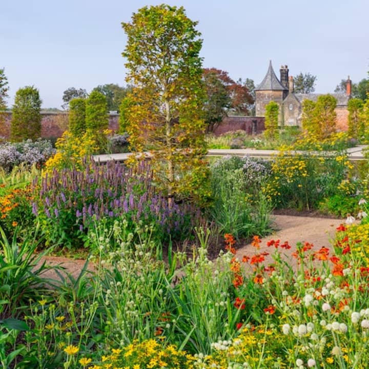 RHS Garden Bridgewater