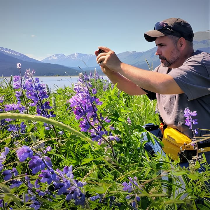 Afternoon Wilderness, Wildlife, Glacier Experience from Anchorage