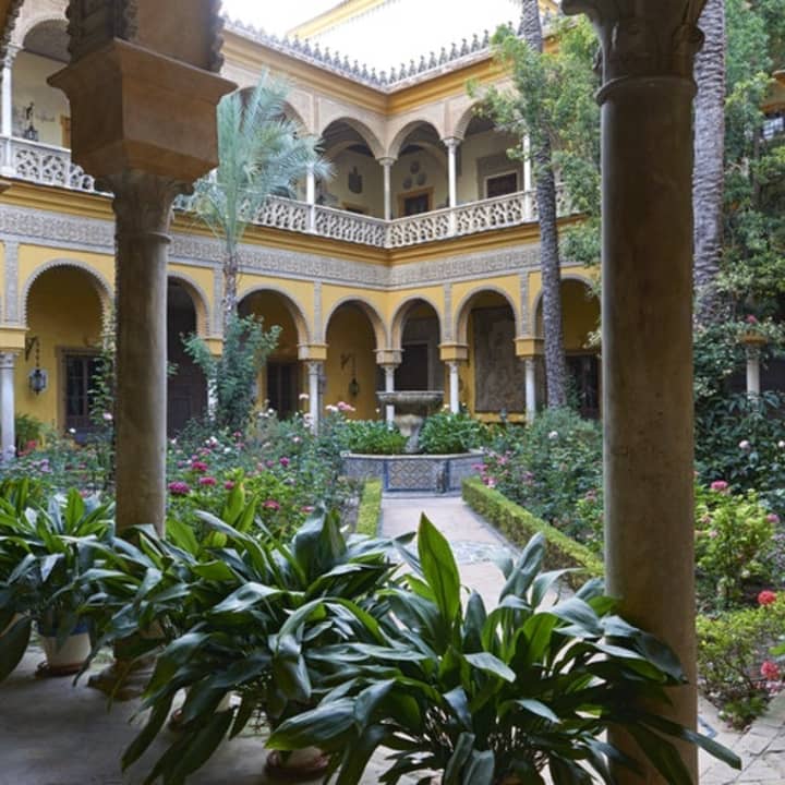 ﻿Visit the Palacio de las Dueñas with audio guide and without queues!