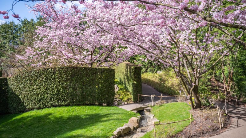 Gardens of the World