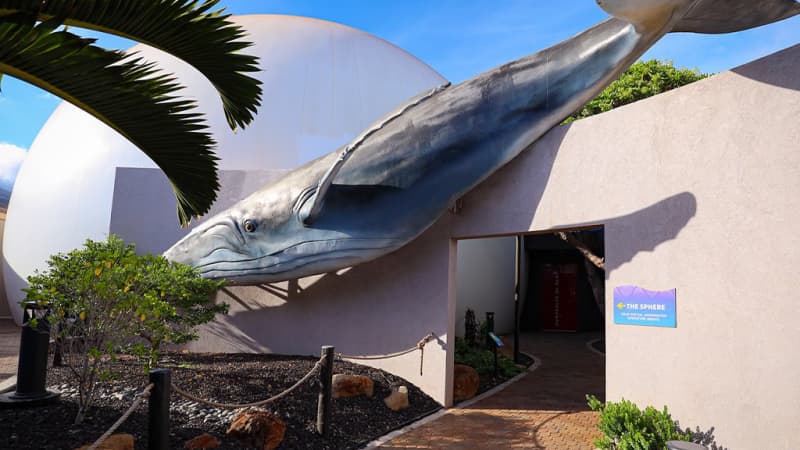 Maui Ocean Center, The Aquarium of Hawaii