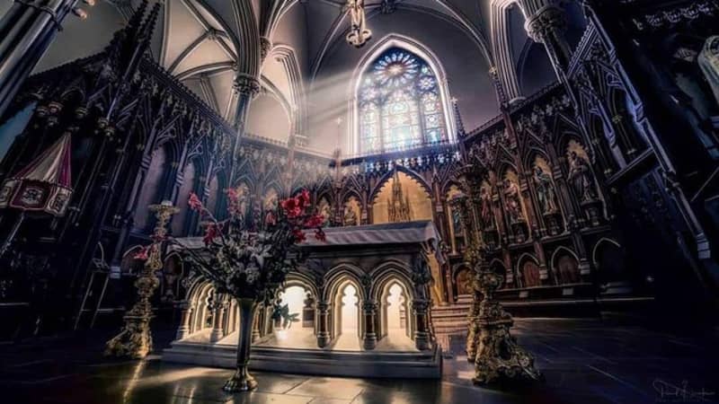 The Basilica of St Patrick's Old Cathedral