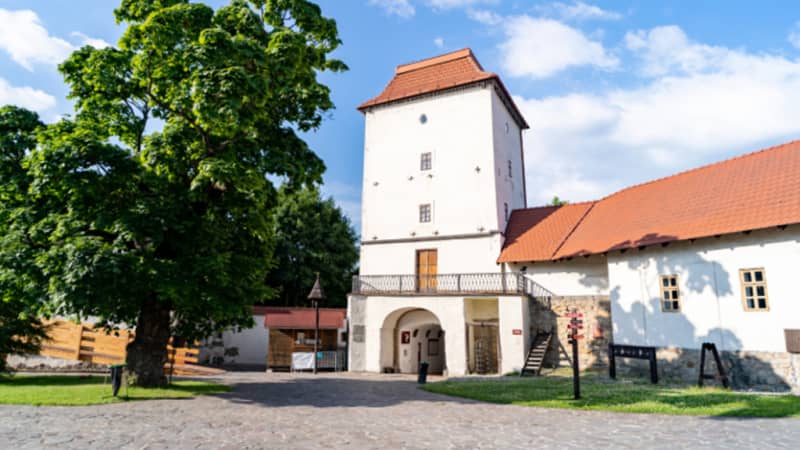 Slezskoostravský hrad